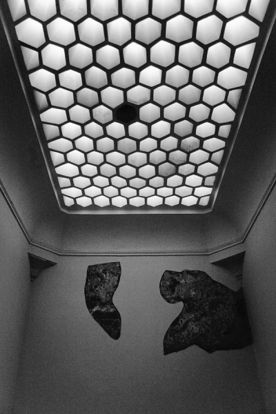 Photograph Byron Perry Hive on One Eyeland